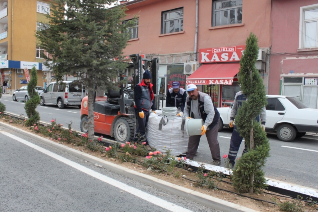 Peyzaj çalışmaları tamamlandı