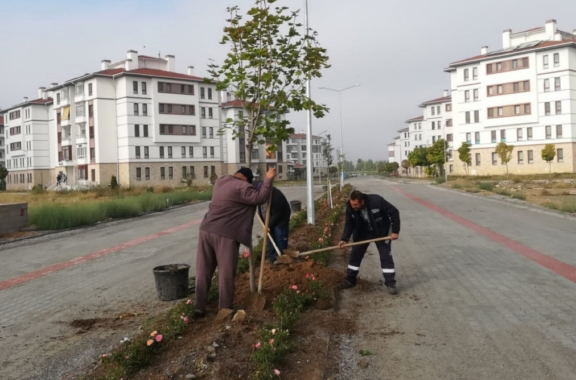 Belediyeden ağaçlandırma ve peyzaj çalışmaları