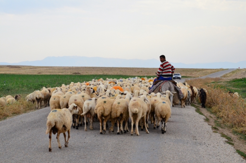 Yerli üretim, küçük aile işletmeleriyle birlikte daha çok desteklenmeli…