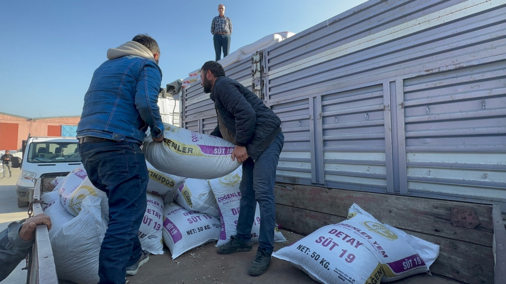 Hatay’a gönderilen yem hayvan üreticisine can suyu oldu