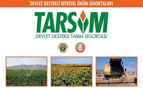 Konya TARSİM’de ilk 5’te!