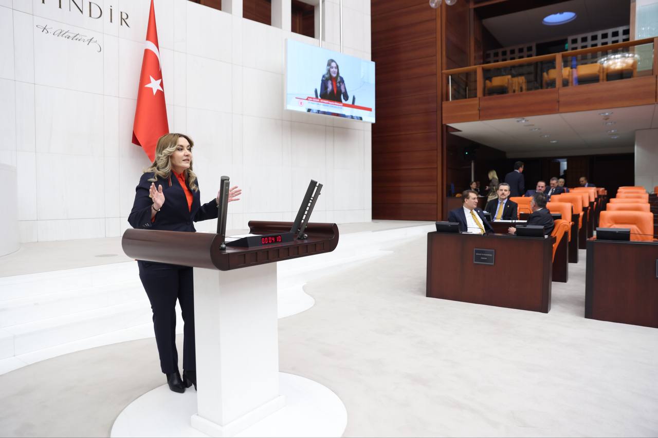 İYİ PARTİ MİLLETVEKİLİ CESUR'DAN DEPREM SORU ÖNERGESİ