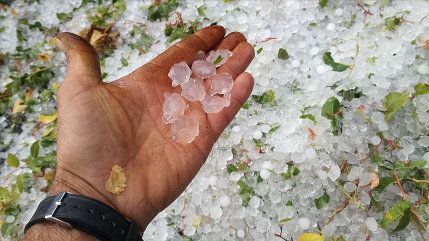 "DOLUDAN ZARAR GÖREN ISPARTA'LI ÇİFTÇİ YARDIM BEKLİYOR"