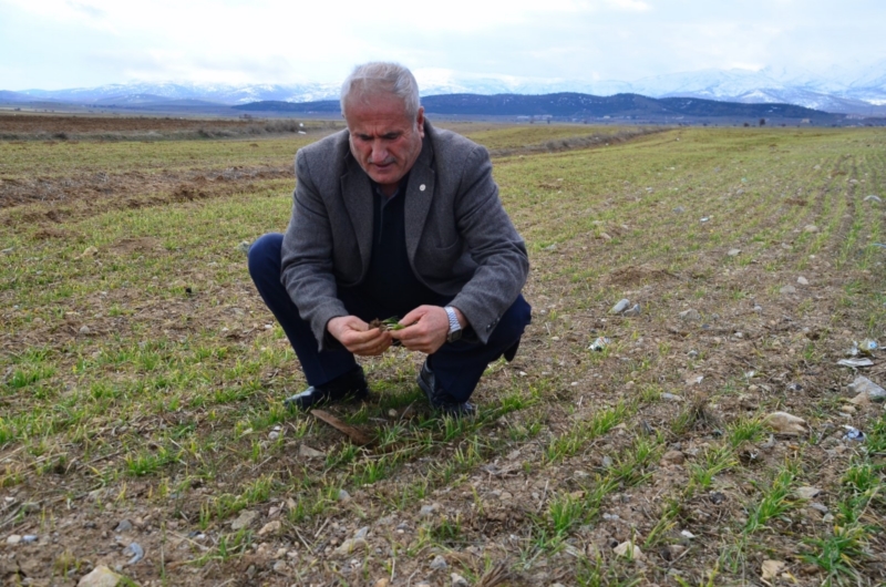 Turan hububatın son durumunu değerlendirdi