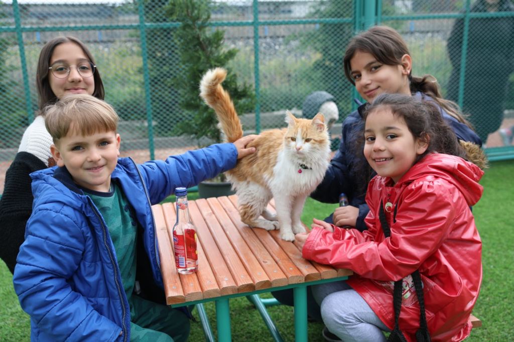 "Küçük Dostlar Kedi Kasabası" hizmete açıldı