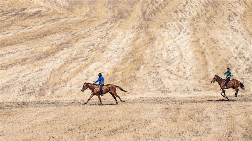 Geleneksel at yarışları düzenlendi