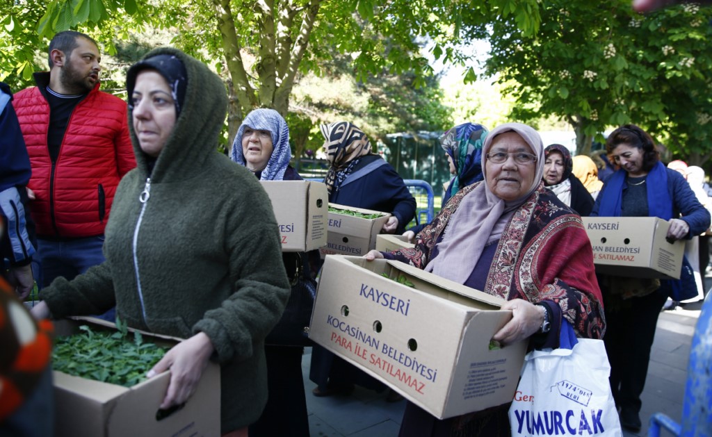 540 bin organik domates fidesi dağıtıldı