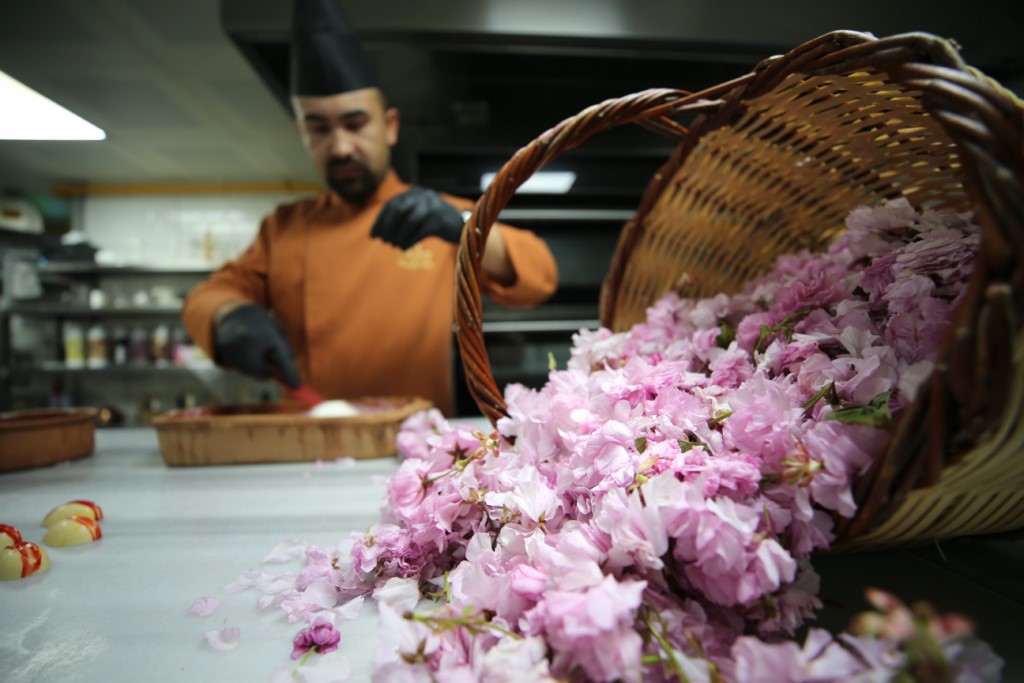 "Sakura" çiçekleri lezzete dönüşüyor