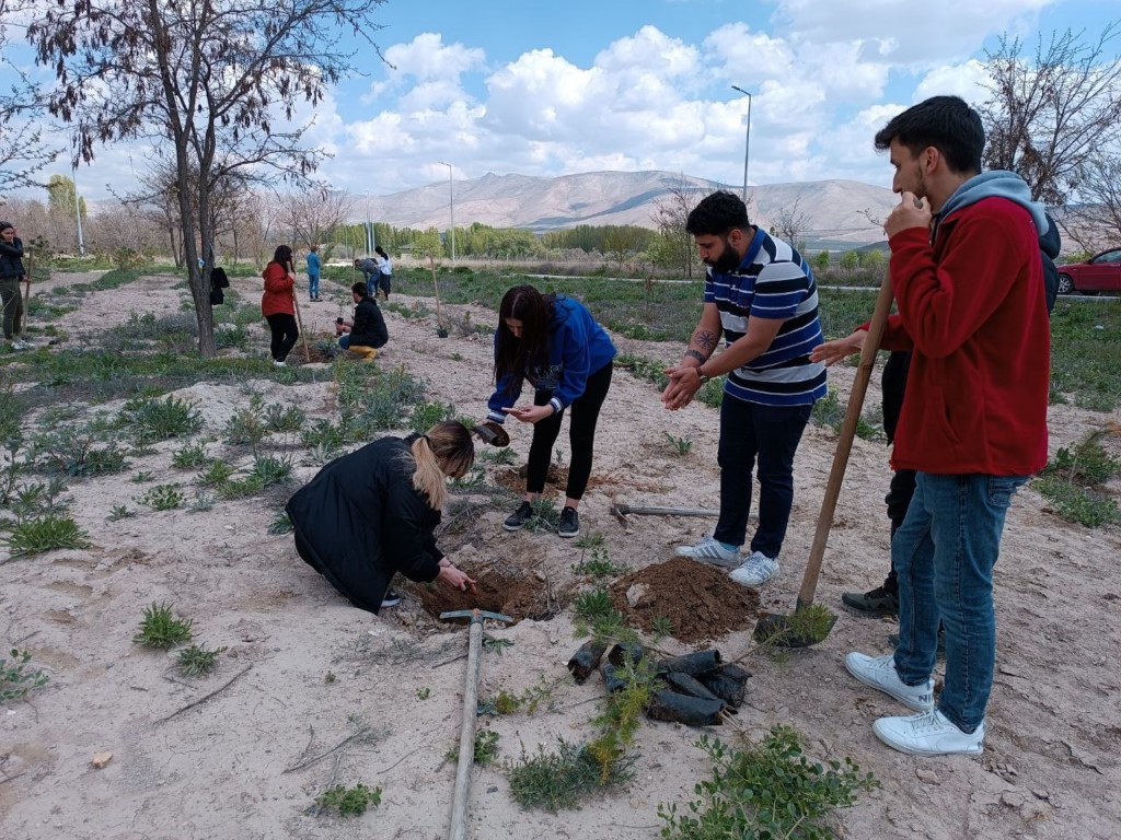 Üniversite öğrencileri sahipsiz hayvanlar için fidan dikti