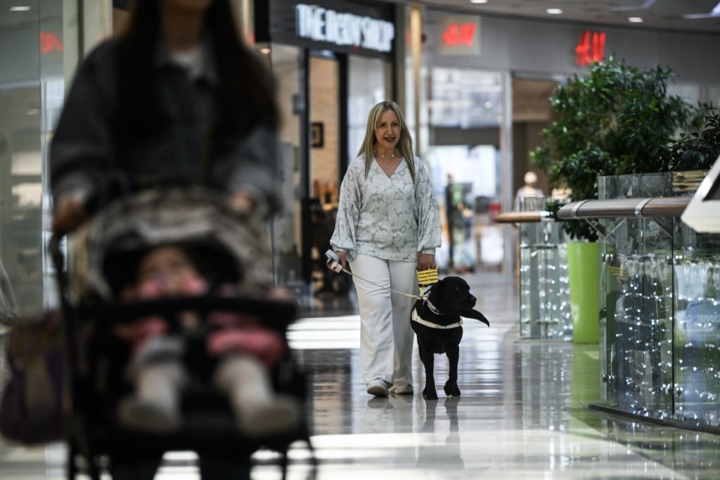 Rehber köpek "Esmer" sahibini alışverişte de yalnız bırakmıyor