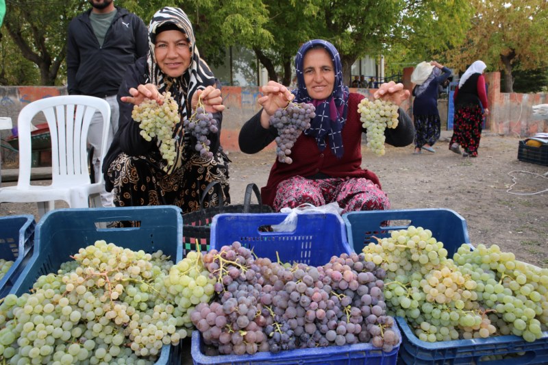 aa-20231008-32344697-32344689-aksarayda-2-bag-bozumu-ve-pekmez-festivali-yapildi.jpg