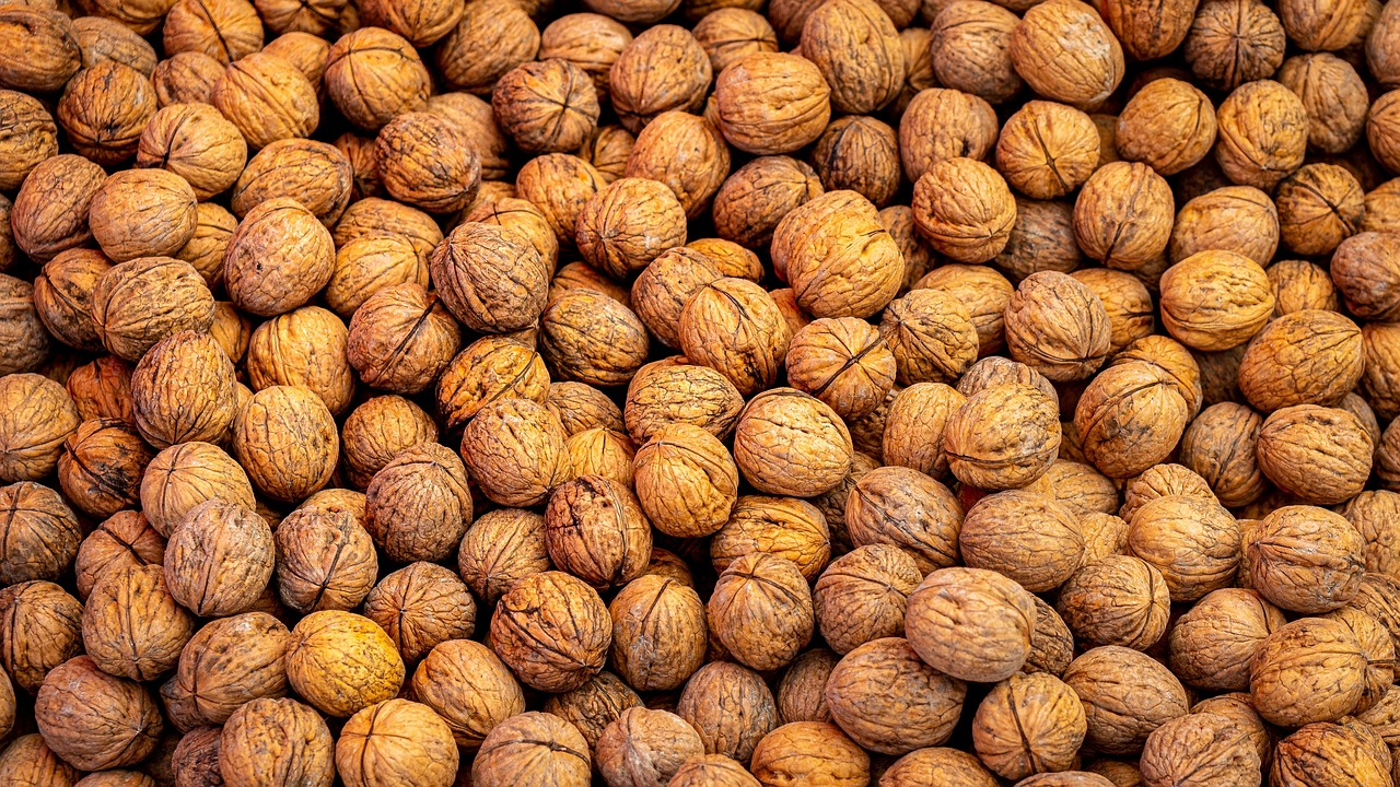 walnuts-5690087-1280.jpg