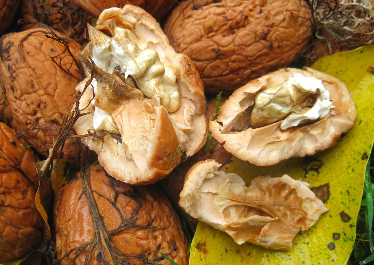 fresh-walnuts-1100489-1280.jpg