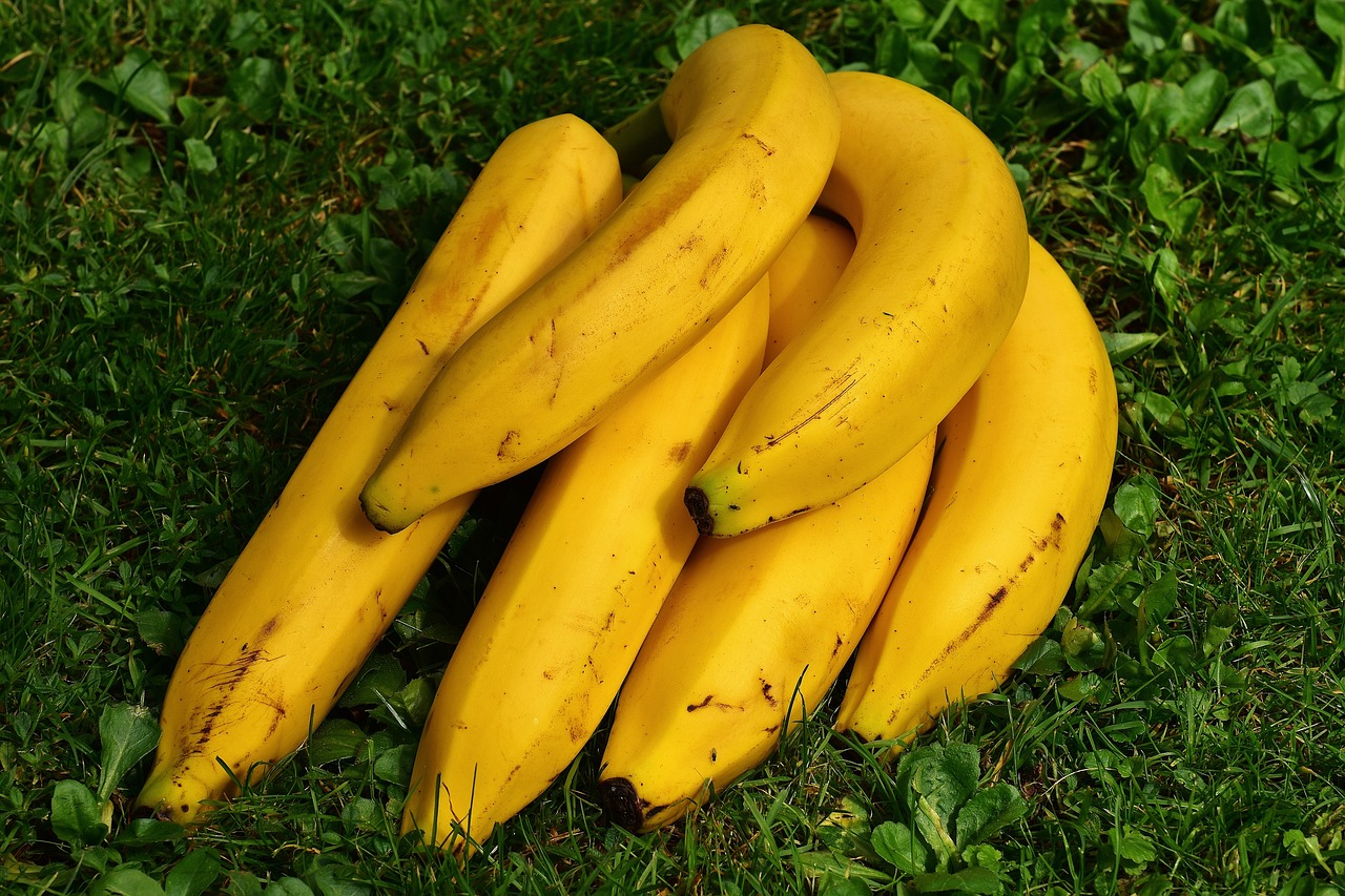 bananas-1642706-1280.jpg