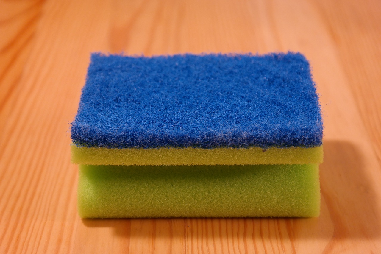 sponge-231922-1280.jpg