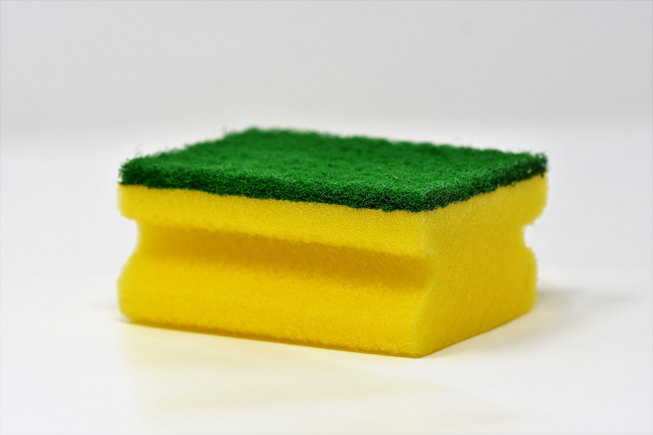 sponge-3081410-1280.jpg