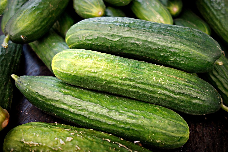 cucumber-1522921-960-720.jpg