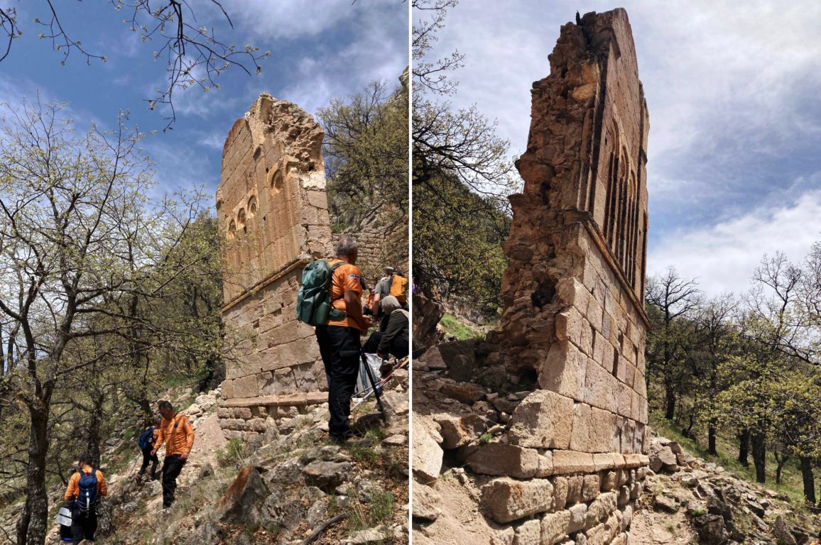 ali-sumas-dagina-tirmandilar-2.jpg