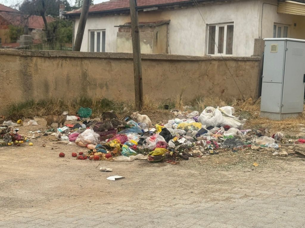 konteynira-atilmayan-coplere-tepki-2.jpg