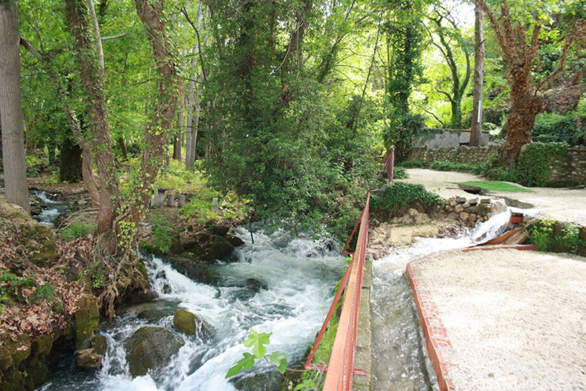 konya-buyuksehir-zeyve-pazarina-el-atiyor-4.jpeg